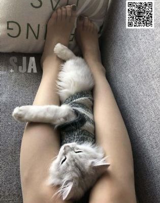 欧美花臂纹身手稿_蓝光完整在线观看