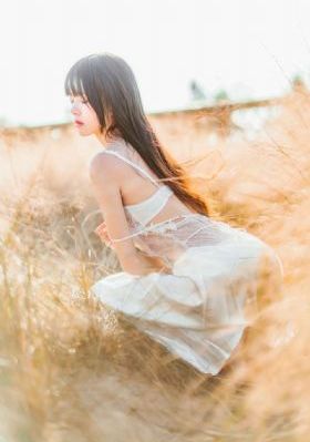 电脑桌面壁纸欧美范_1080超清在线观看