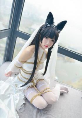黄色欧美v片免费观看_1080P在线观看视频